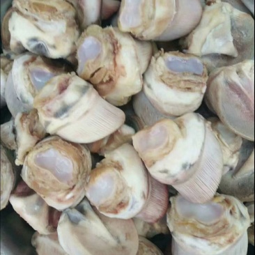 肉驴
