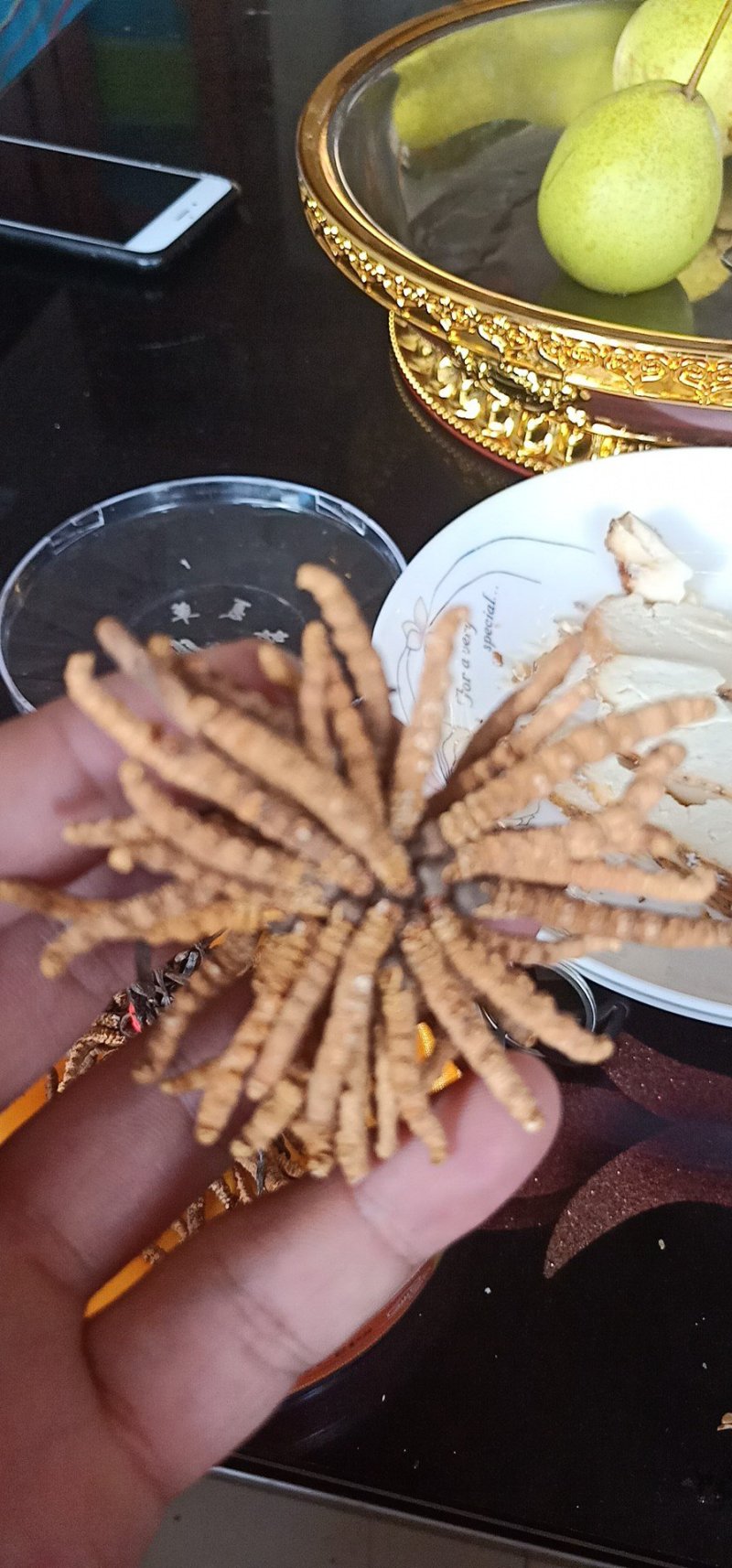 冬虫夏草