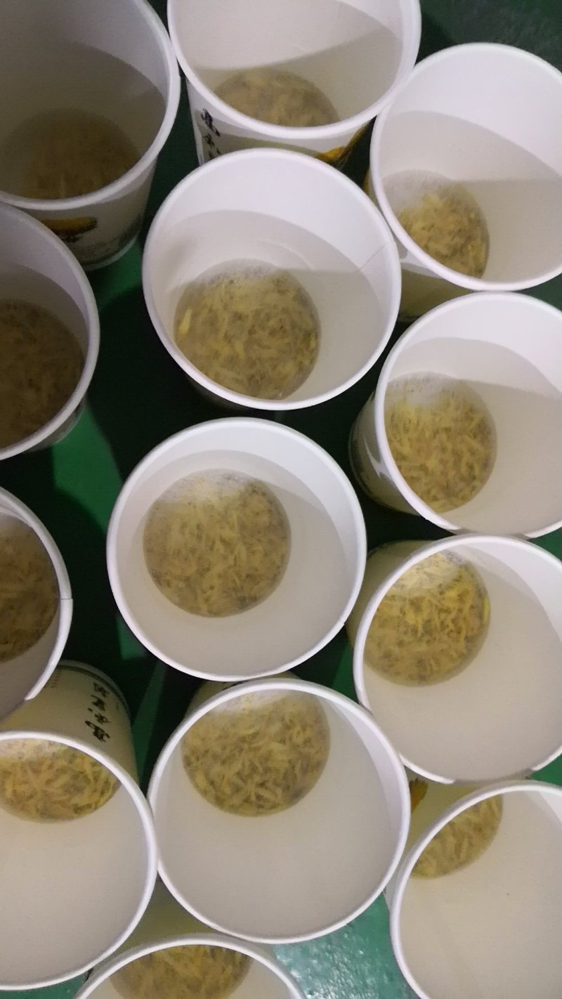皇菊纸杯
