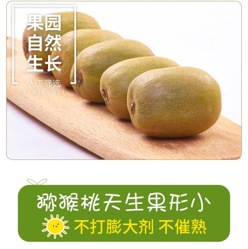 四川红心猕猴桃新鲜包邮批发当季水果现摘现发蒲江弥猴桃奇异