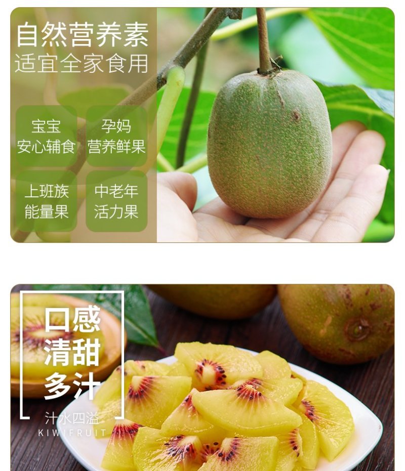 四川红心猕猴桃新鲜包邮批发当季水果现摘现发蒲江弥猴桃奇异