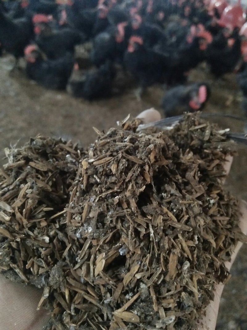 常年出售稻壳🐔粪保证质量！合作共赢！按时发货