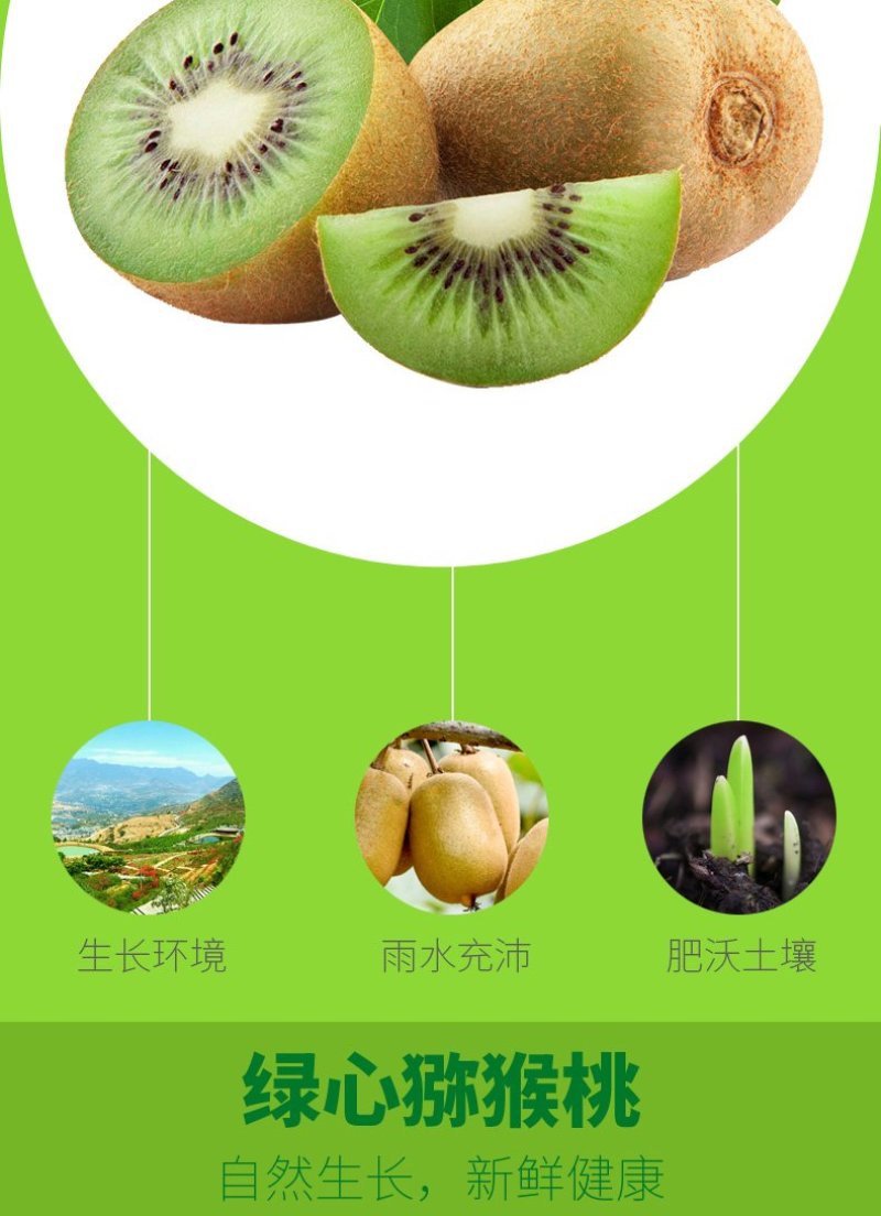四川绿心猕猴桃新鲜包邮批发当季水果现摘现发蒲江弥猴桃奇异