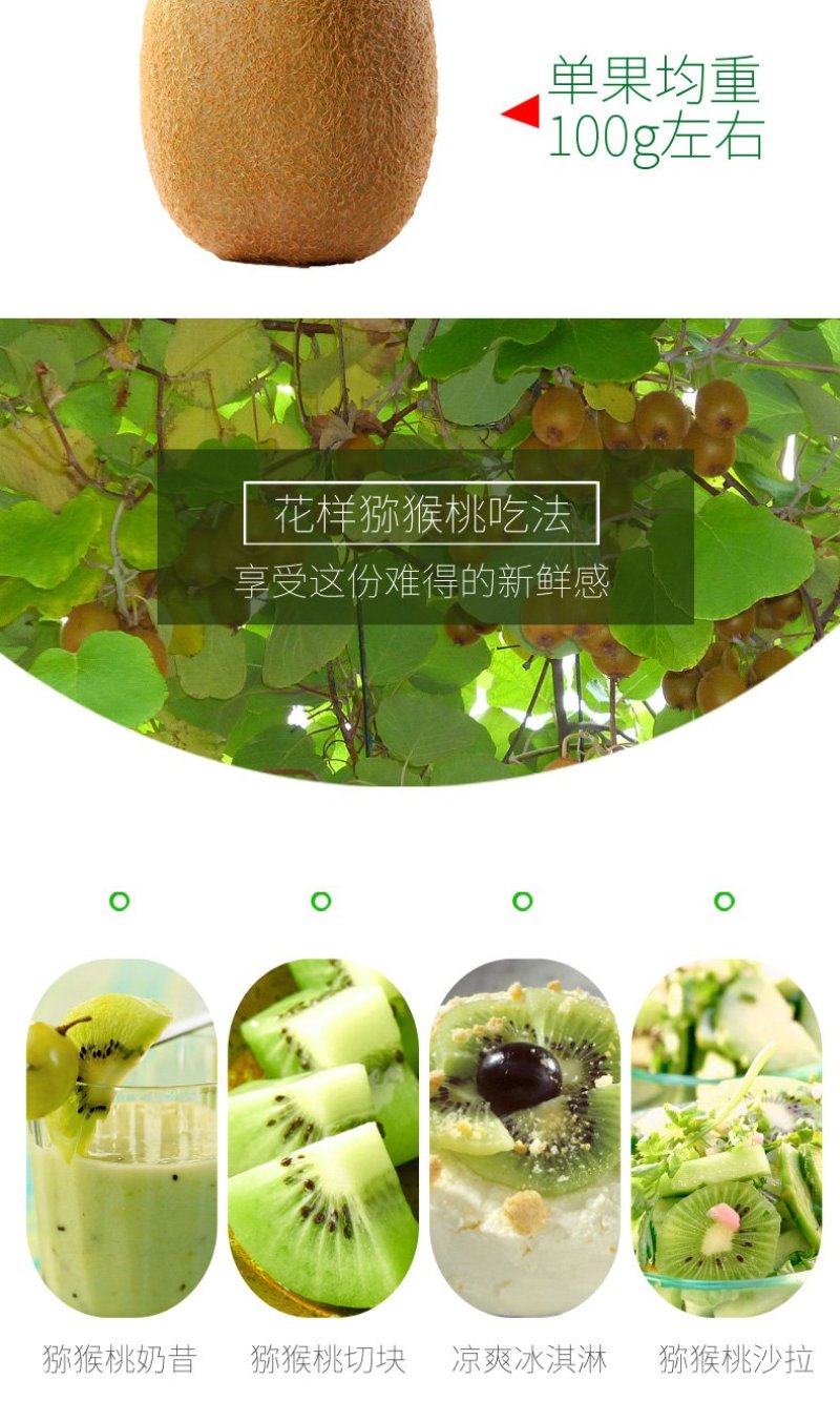 四川绿心猕猴桃新鲜包邮批发当季水果现摘现发蒲江弥猴桃奇异