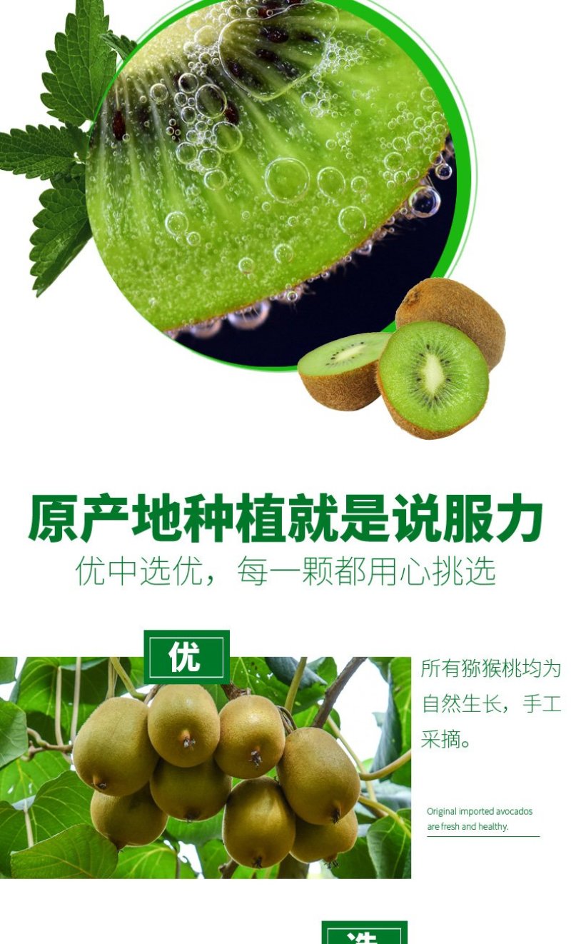 四川绿心猕猴桃新鲜包邮批发当季水果现摘现发蒲江弥猴桃奇异