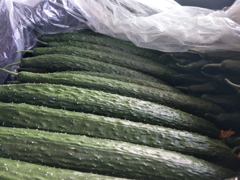 黄瓜鲜花带刺18~22公分有青亮型黑亮型干花带刺有中条