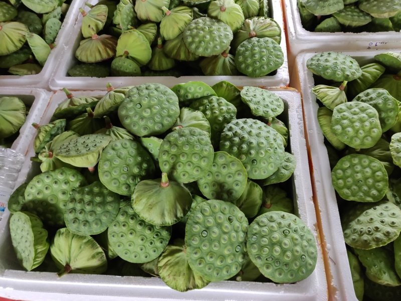 水果莲新鲜莲蓬