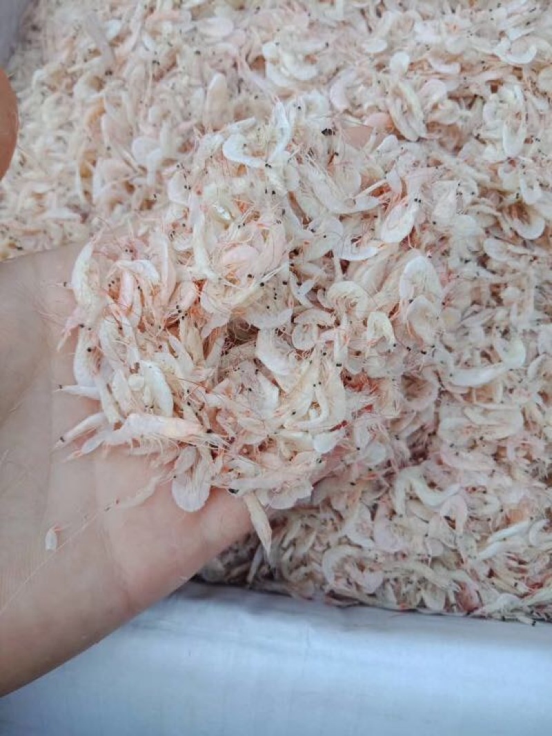 虾皮特级