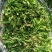 荠菜板叶荠菜长度15cm以上预售
