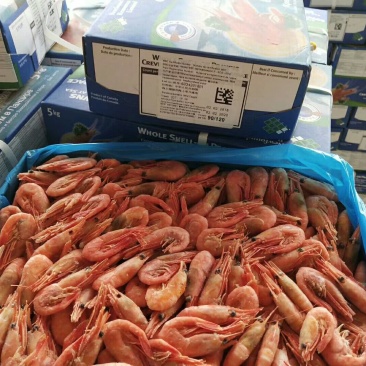 北极甜虾90-120