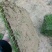 精品马尼拉草坪，台湾青草，草卷，草块……
