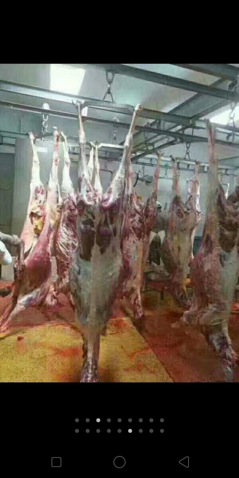 驴肉马副产品。
