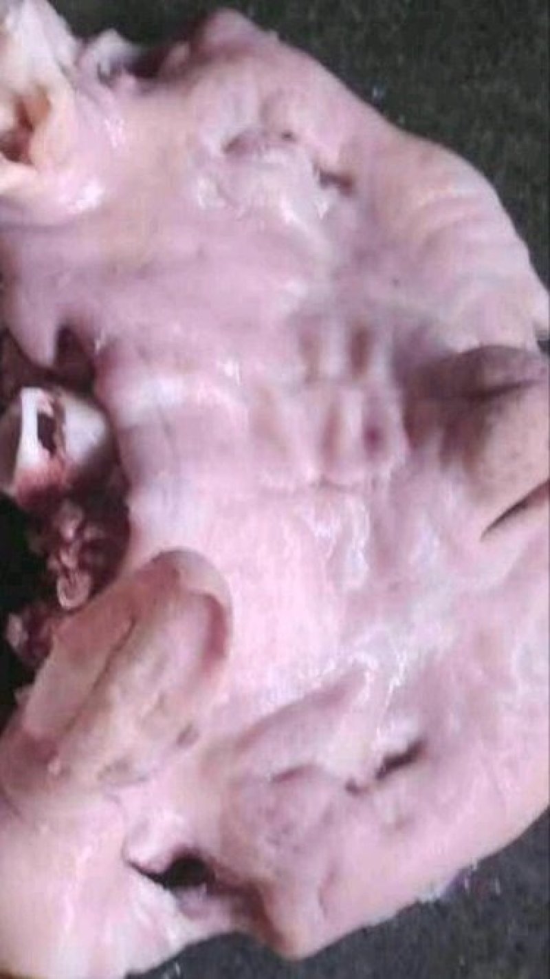 羊头肉