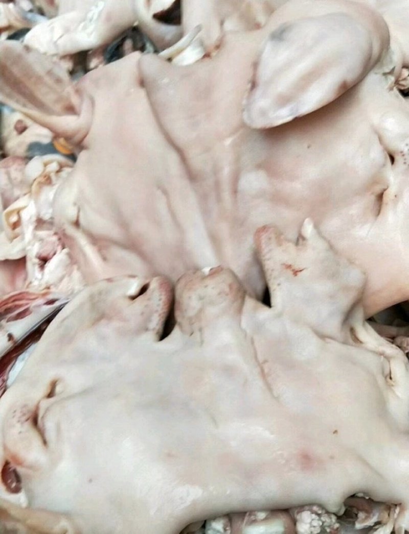 羊头肉