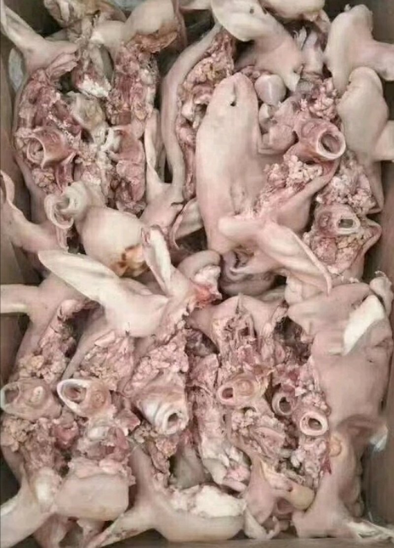 羊头肉