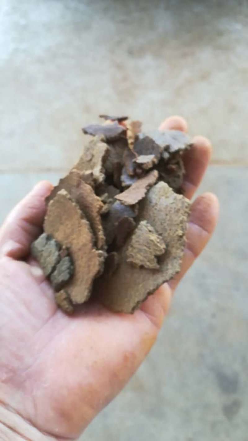 菜籽饼加工利用大量出售，价格优惠
