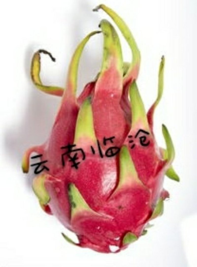 云南特产