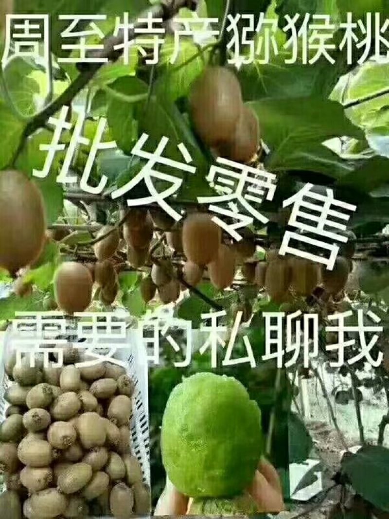 翠香猕猴桃，