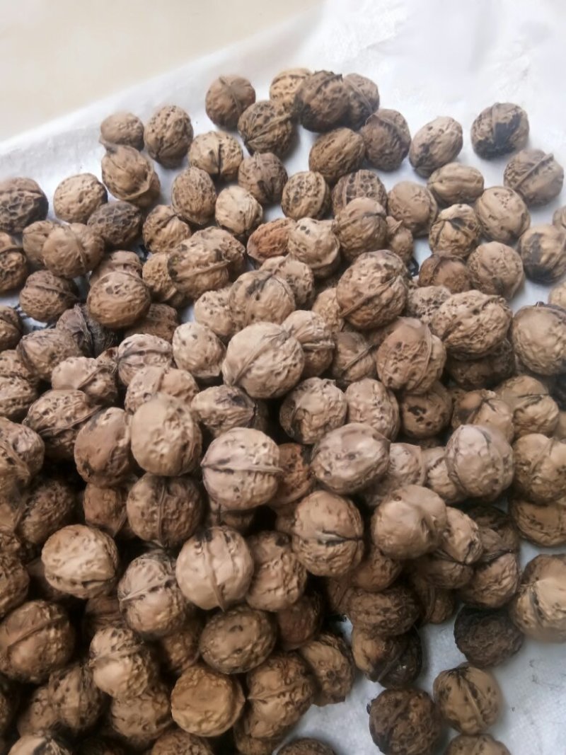 南达优质核桃