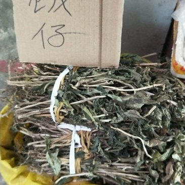 野生白饭仔