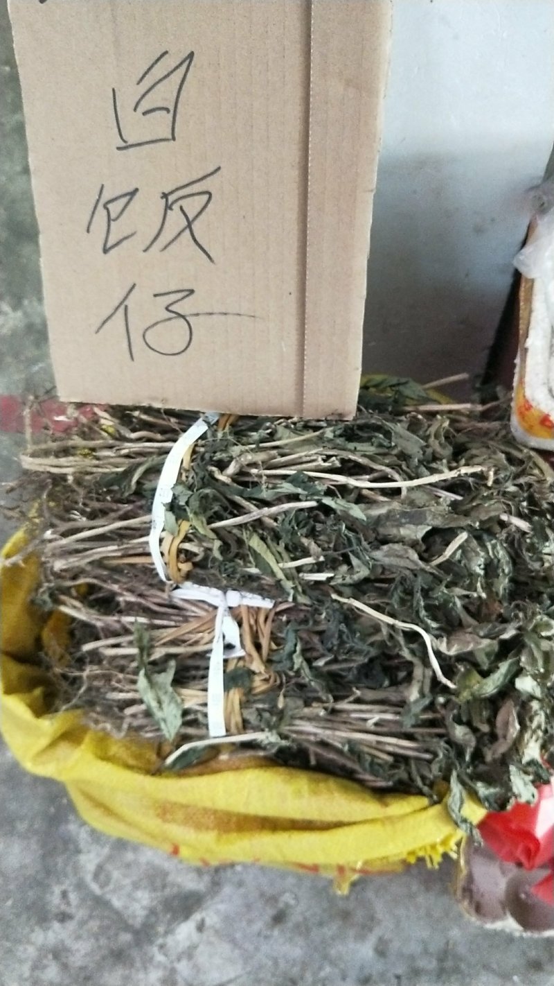 野生白饭仔