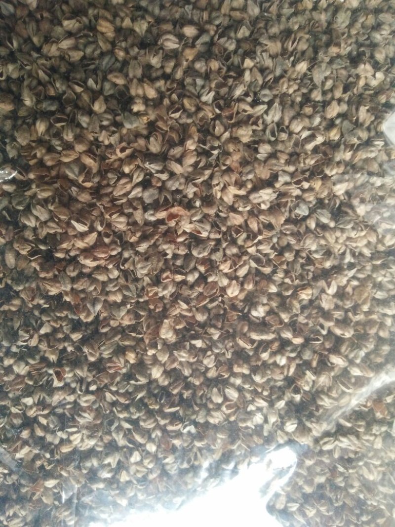 云南特产苦荞麦壳，自己的加工厂！可以做枕头，玩具填充物