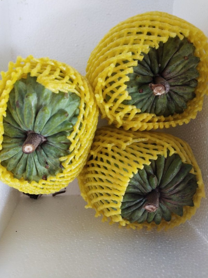 番荔枝