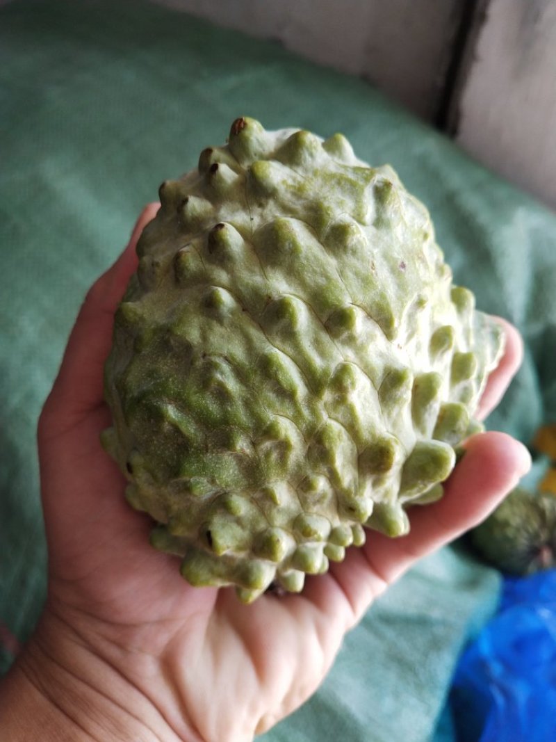 番荔枝