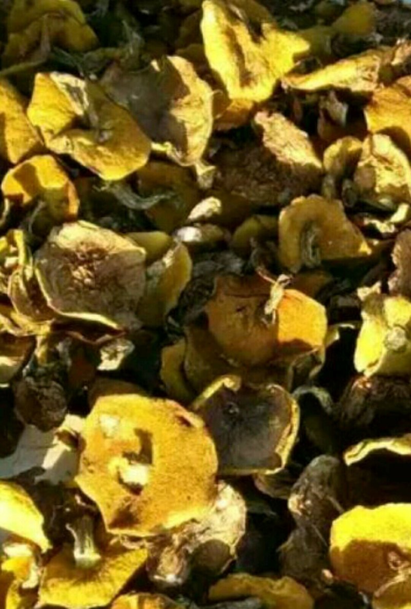 纯野生松蘑，，质量好，色泽纯正，口味鲜美。