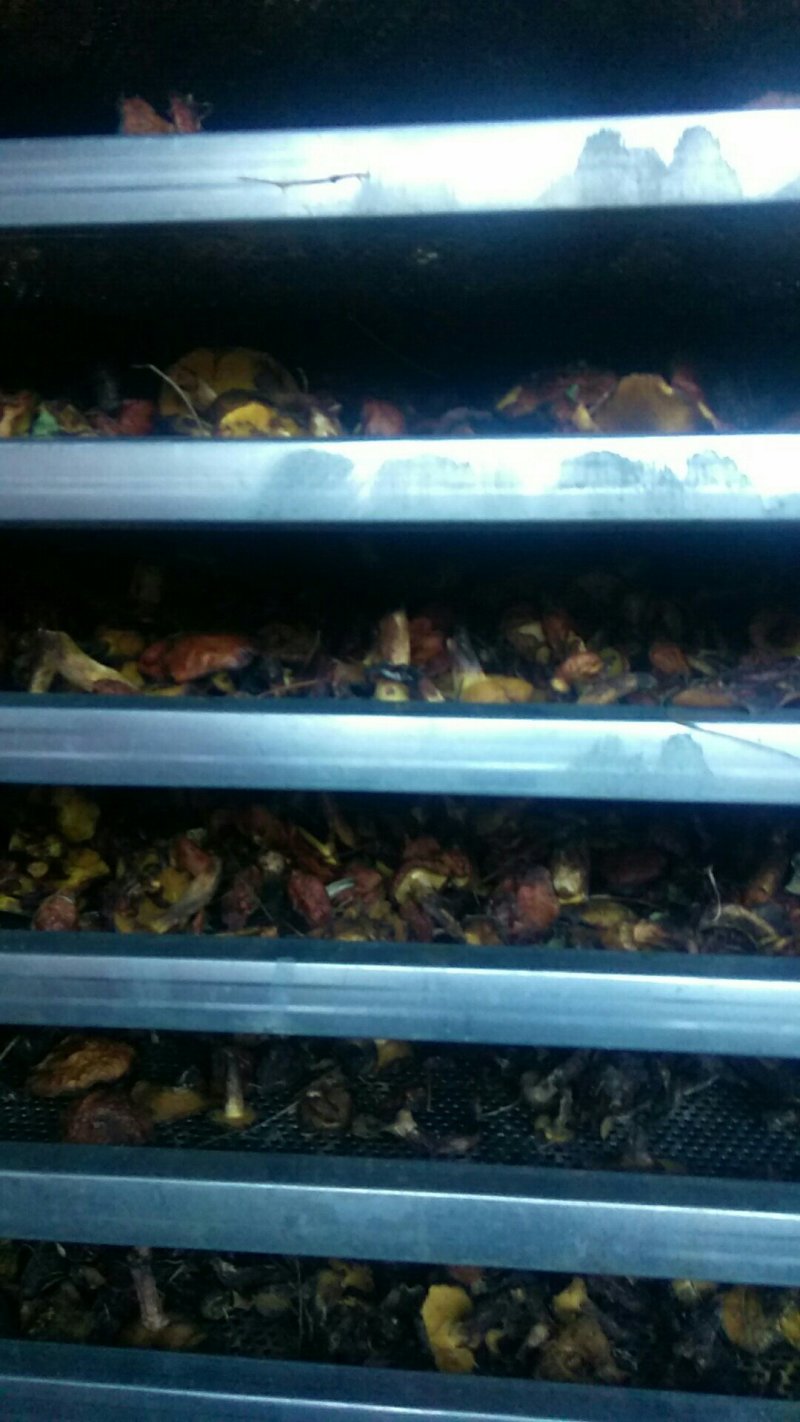 纯野生松蘑，，质量好，色泽纯正，口味鲜美。
