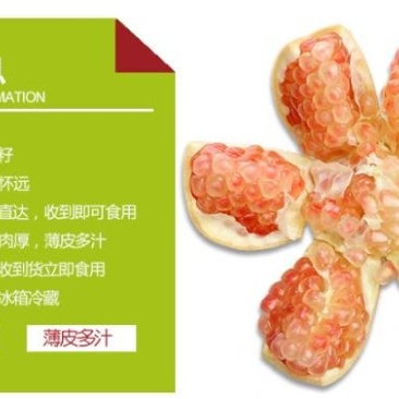 怀远薄皮精品玉石籽5斤包邮