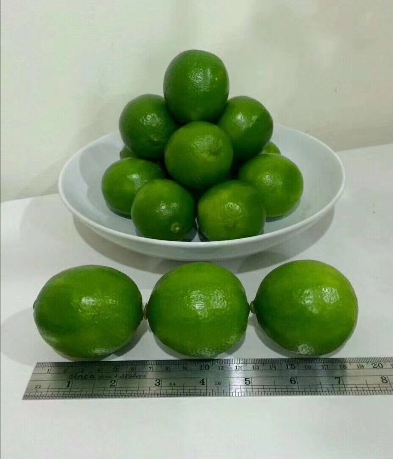 泰国无籽青柠5斤32包邮