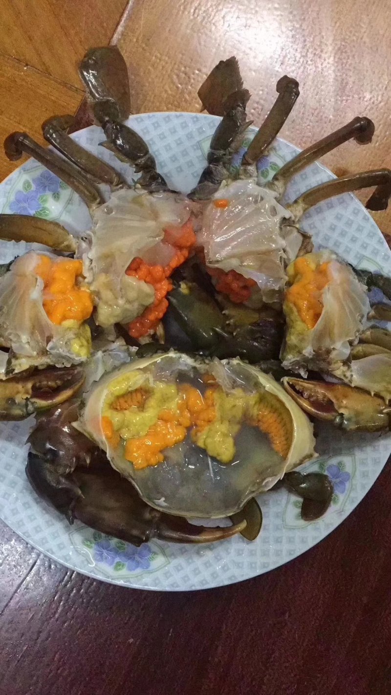 蜗牛优质大量