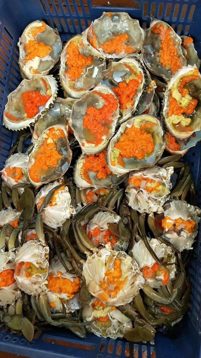 蜗牛优质大量