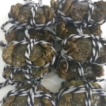 精品大闸蟹预售二两