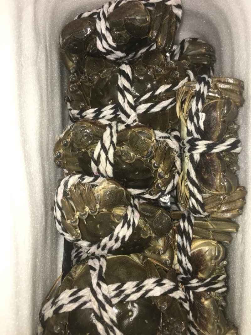 精品大闸蟹预售二两