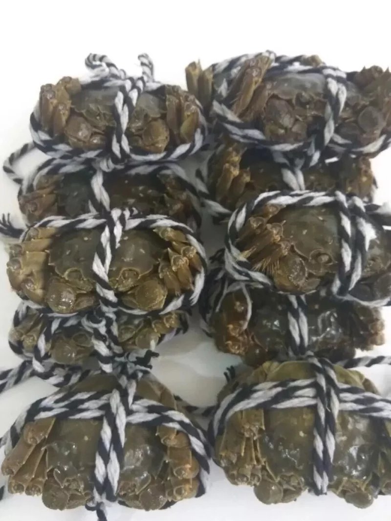 大闸蟹三两母蟹蟹农供货预售