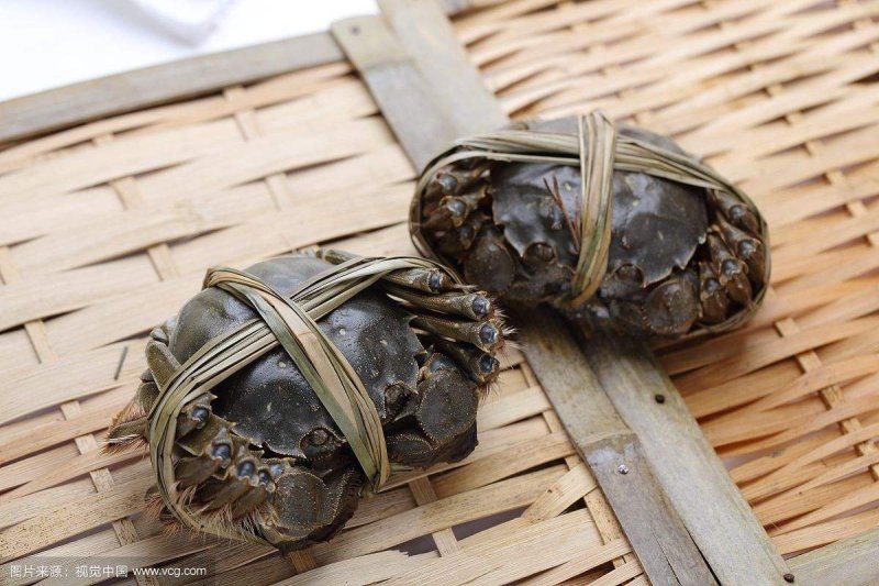 泰兴大闸蟹1.5两母蟹预售