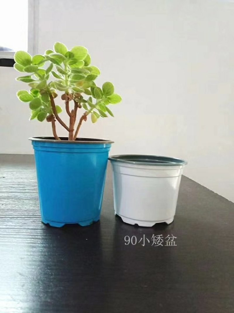基地专用塑料双色花盆