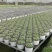 基地专用塑料双色花盆