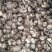 干货