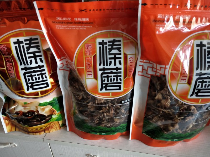 野生榛蘑
