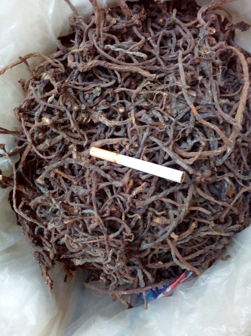 蒲公英根、野生蒲公英根(水洗，干净无杂)