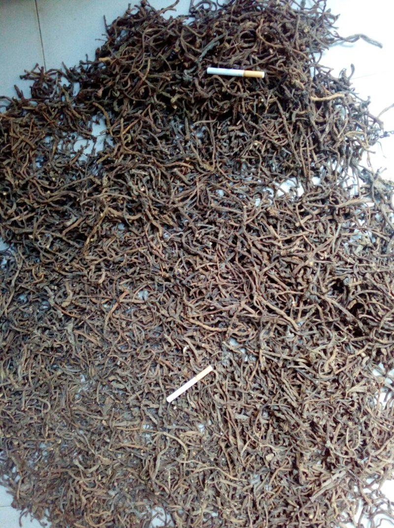 蒲公英根、野生蒲公英根(水洗，干净无杂)