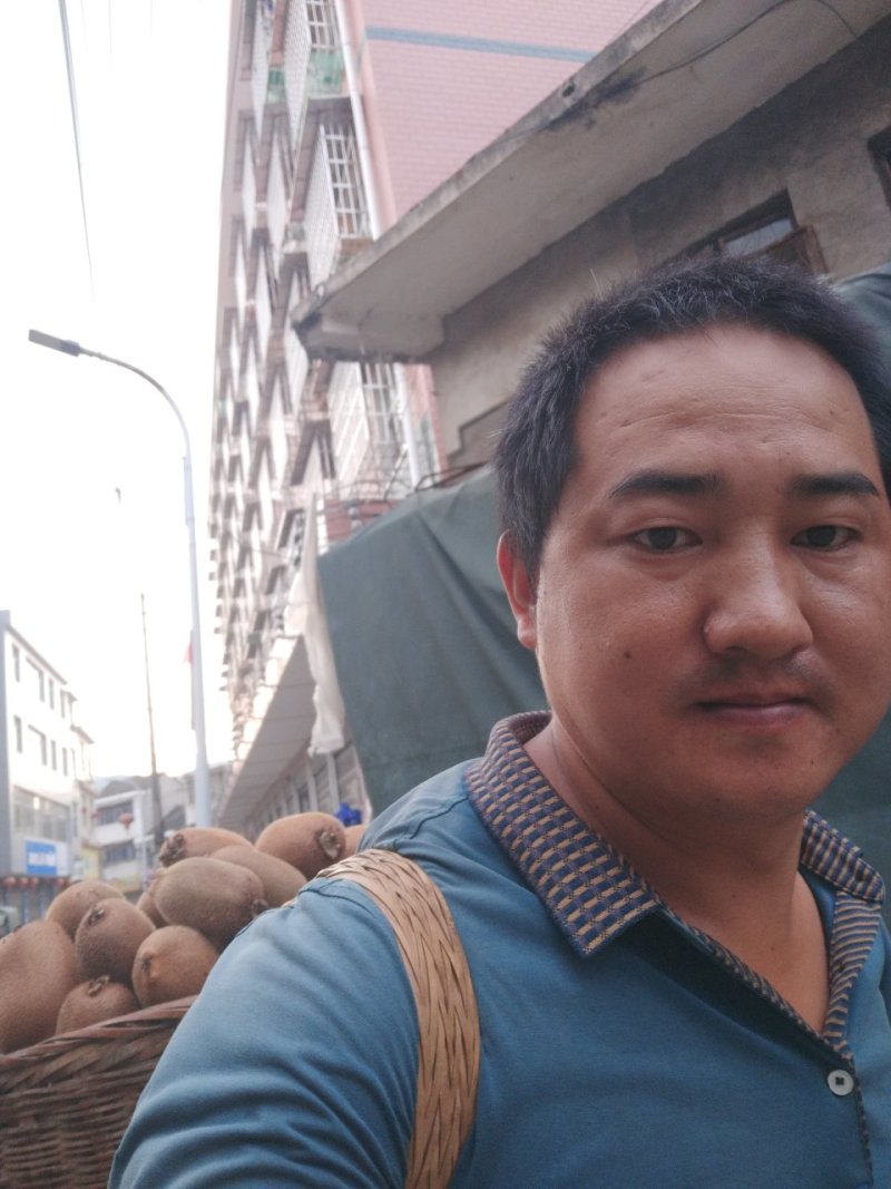 松柏镇猕猴桃基地欢迎你前来选购订购