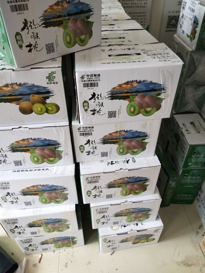 松柏镇猕猴桃基地欢迎你前来选购订购