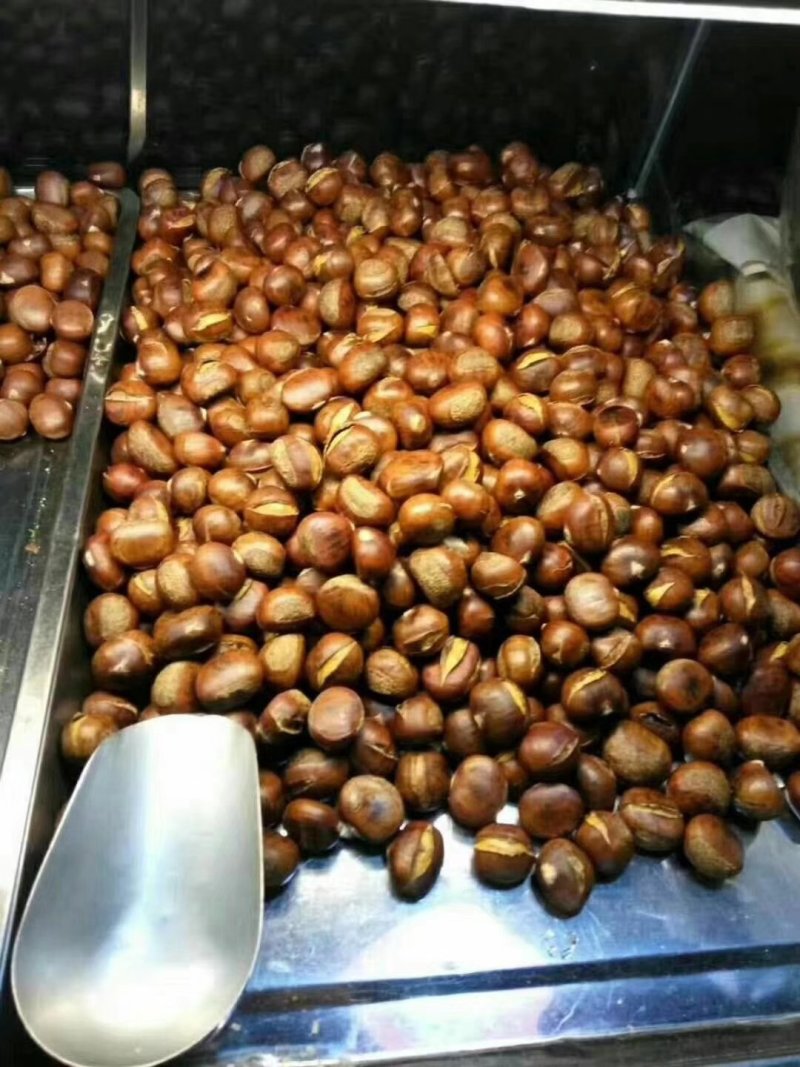 泰安板栗代购