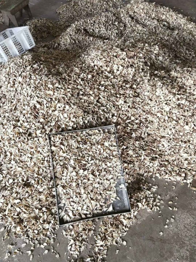 白芨片