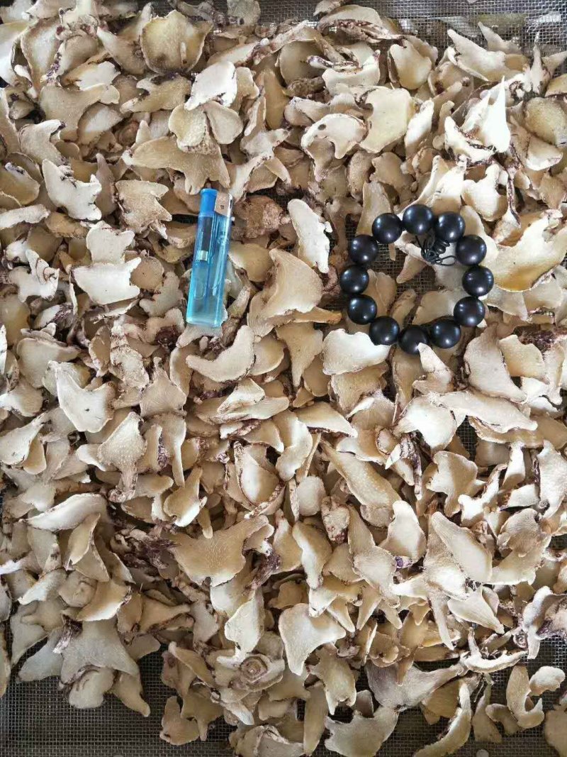白芨片