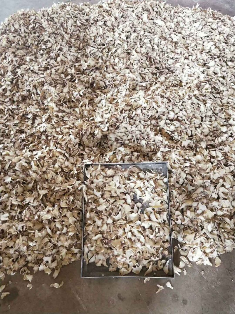 白芨片